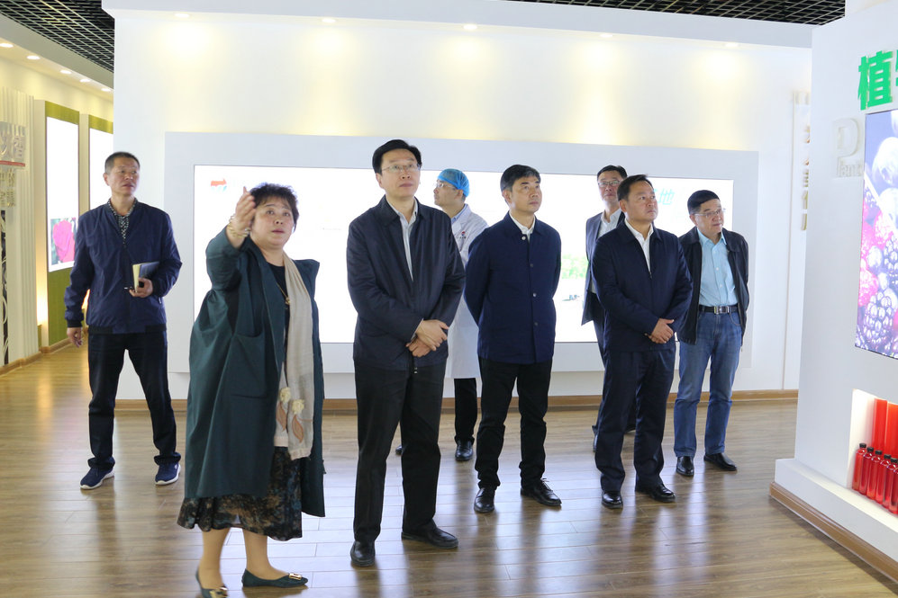 2020年11月2日省政府食安辦副主任，省市場(chǎng)監(jiān)督管理局副局長(zhǎng)王建防到公司調(diào)研指導(dǎo)工作.JPG